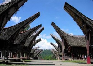 toraja-house1